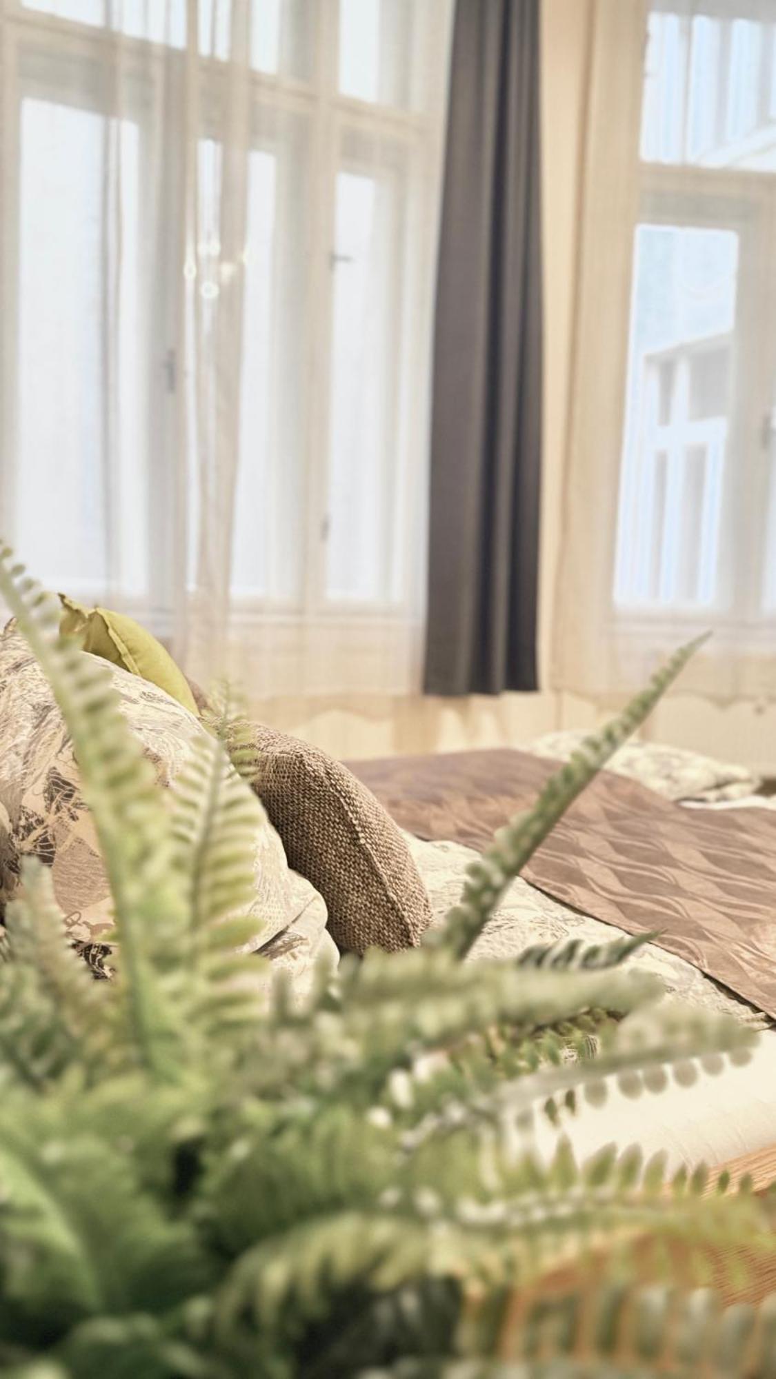 Central Walk Fashionstreet Apartmnts 布达佩斯 外观 照片